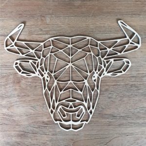 Stier