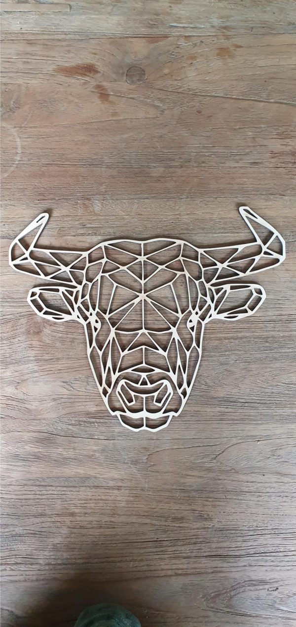 Stier
