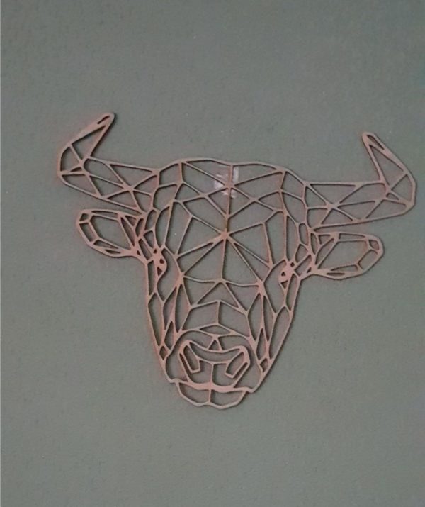 Stier - Afbeelding 2