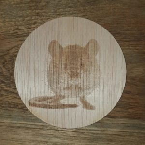 Onderzetter met leuke muis10cm 3mm dik multiplex