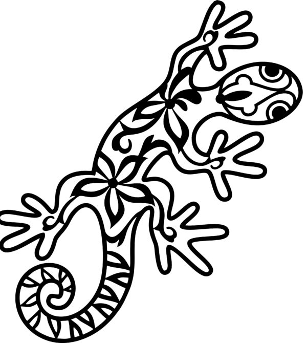 salamander