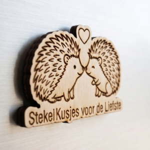 koelkastmagneet met egels